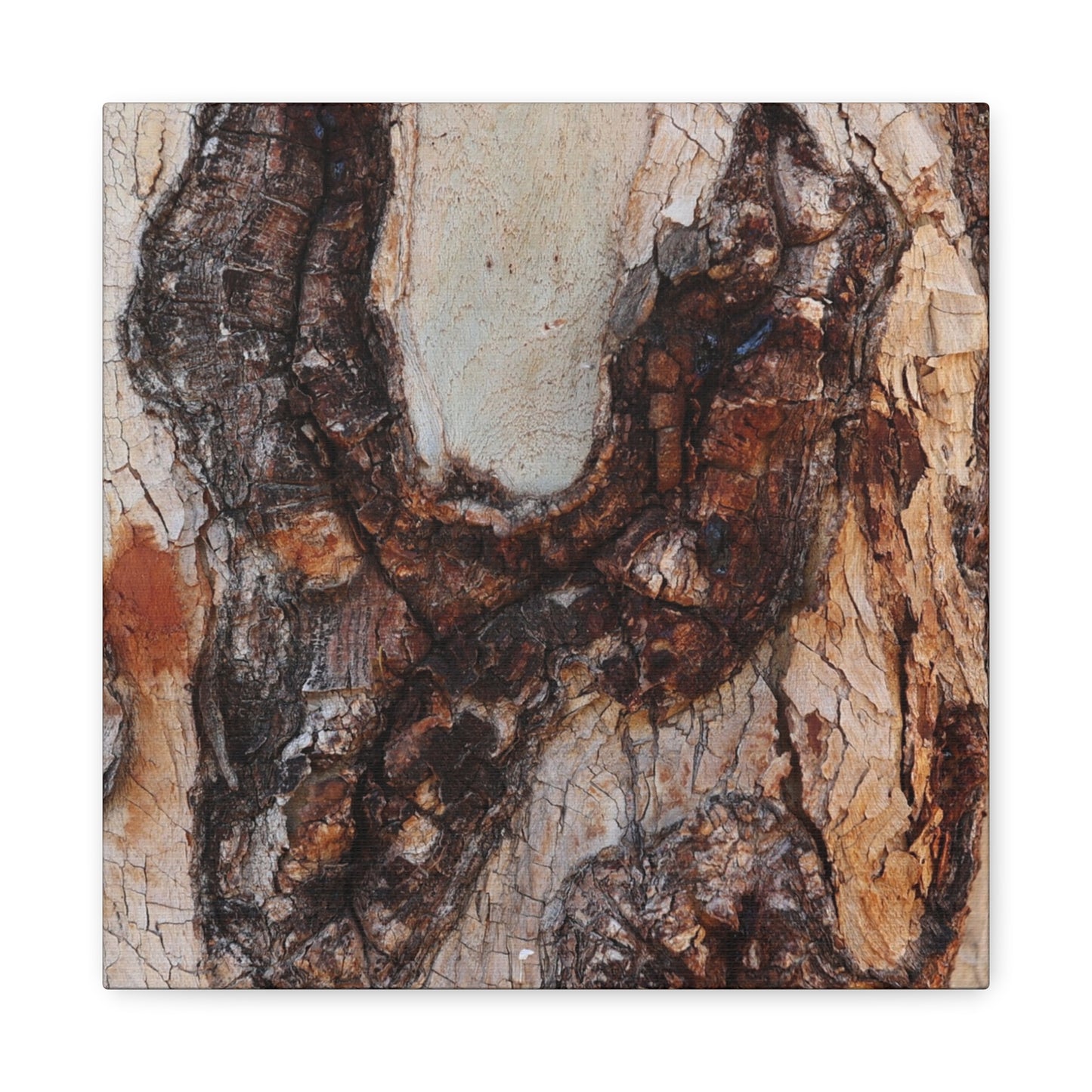 Arboreal Echoes - Unique Frameless Canvas Wall Art - Art By Earth
