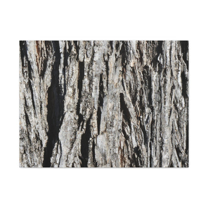 Bark Layers in Monochrome - Unique Frameless Canvas Wall Art - Art By Earth