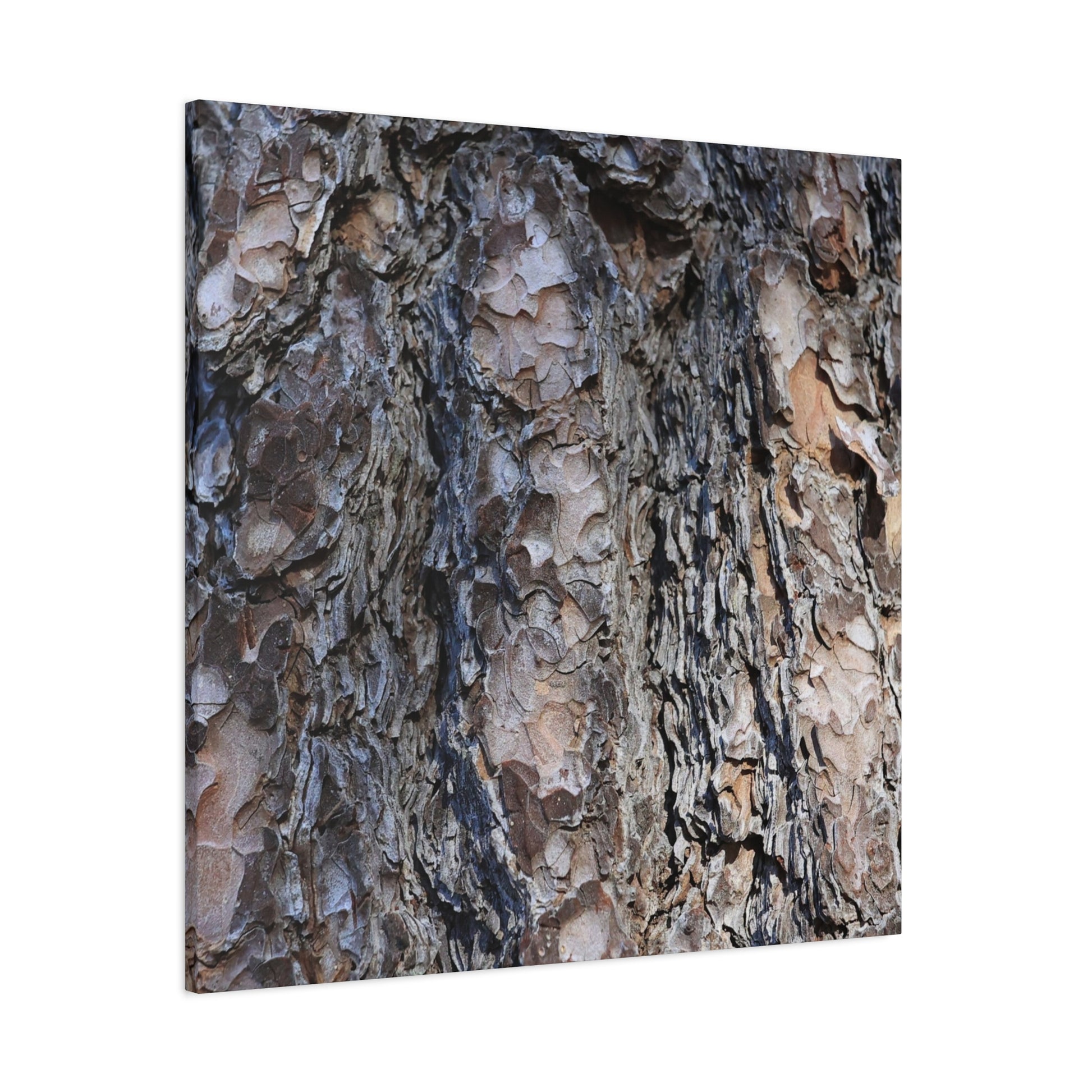 Bark's Rugged Symphony - Unique Frameless Canvas Wall Art - Art By Earth