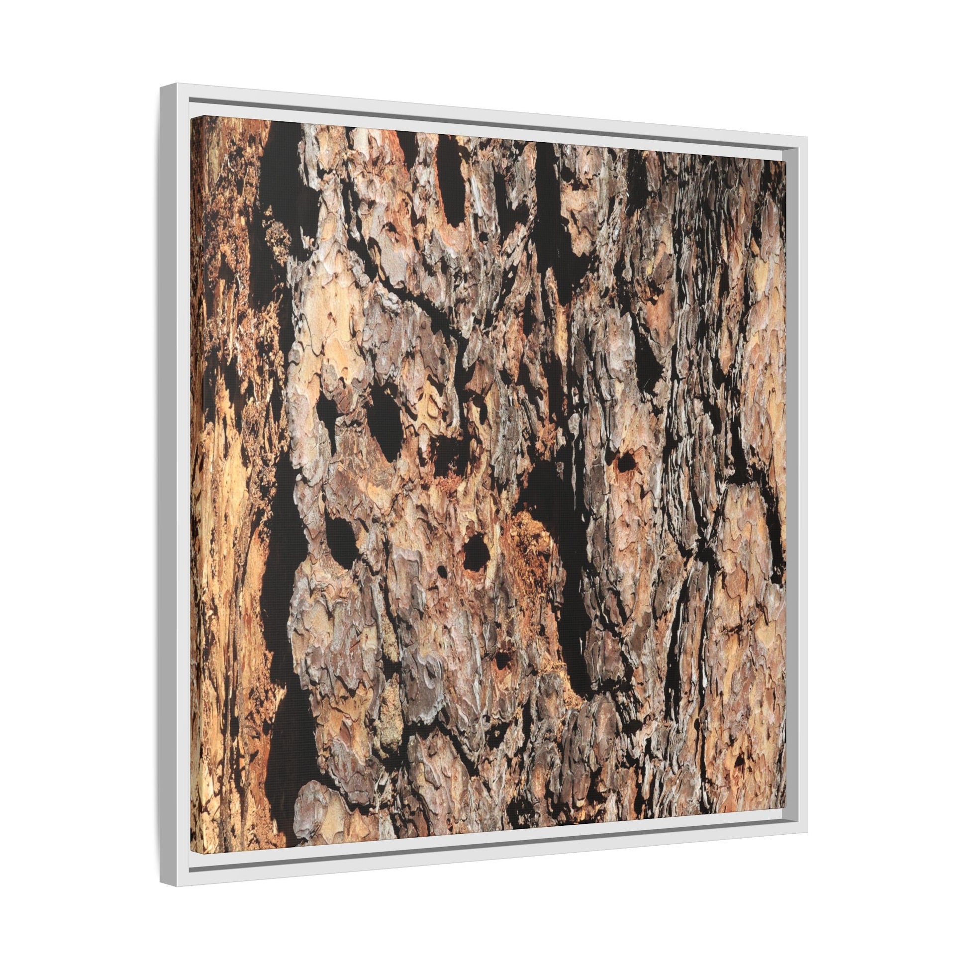 Rugged Rhythms - Unique Stretched Canvas Wall Art - Art By Earth