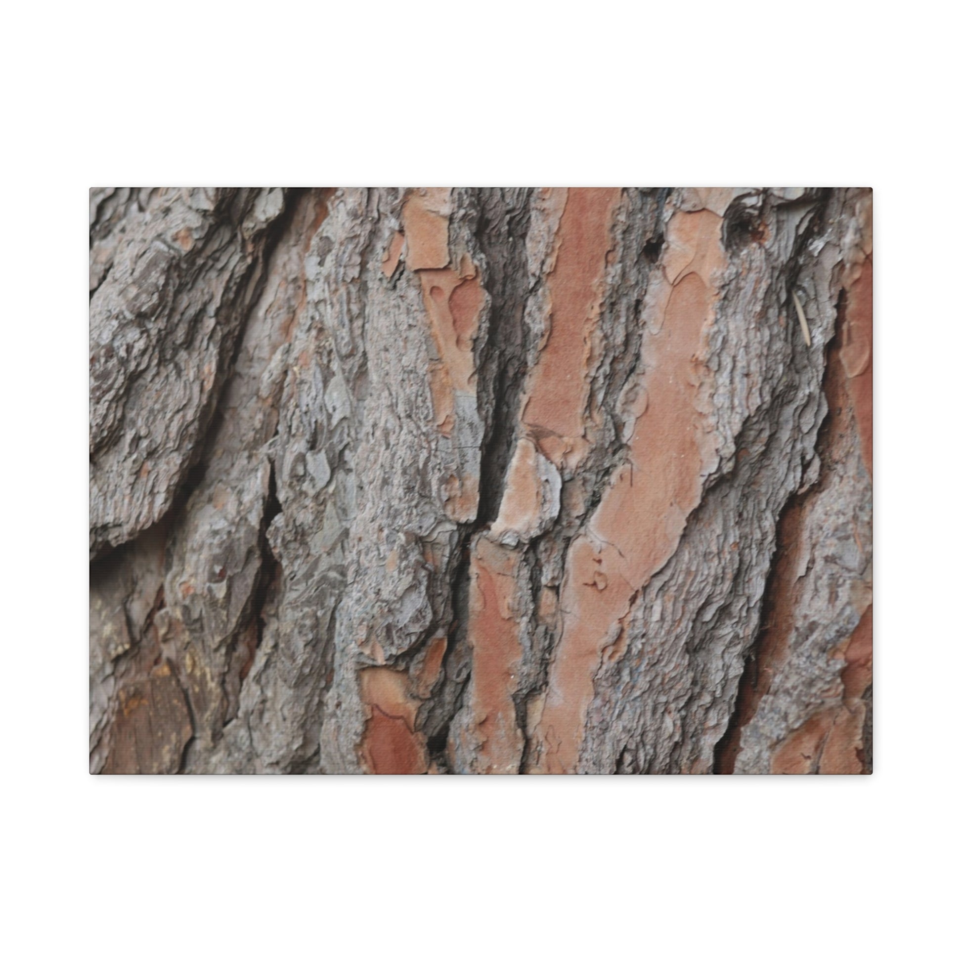 Fractal Landscape - Unique Frameless Canvas Wall Art - Art By Earth