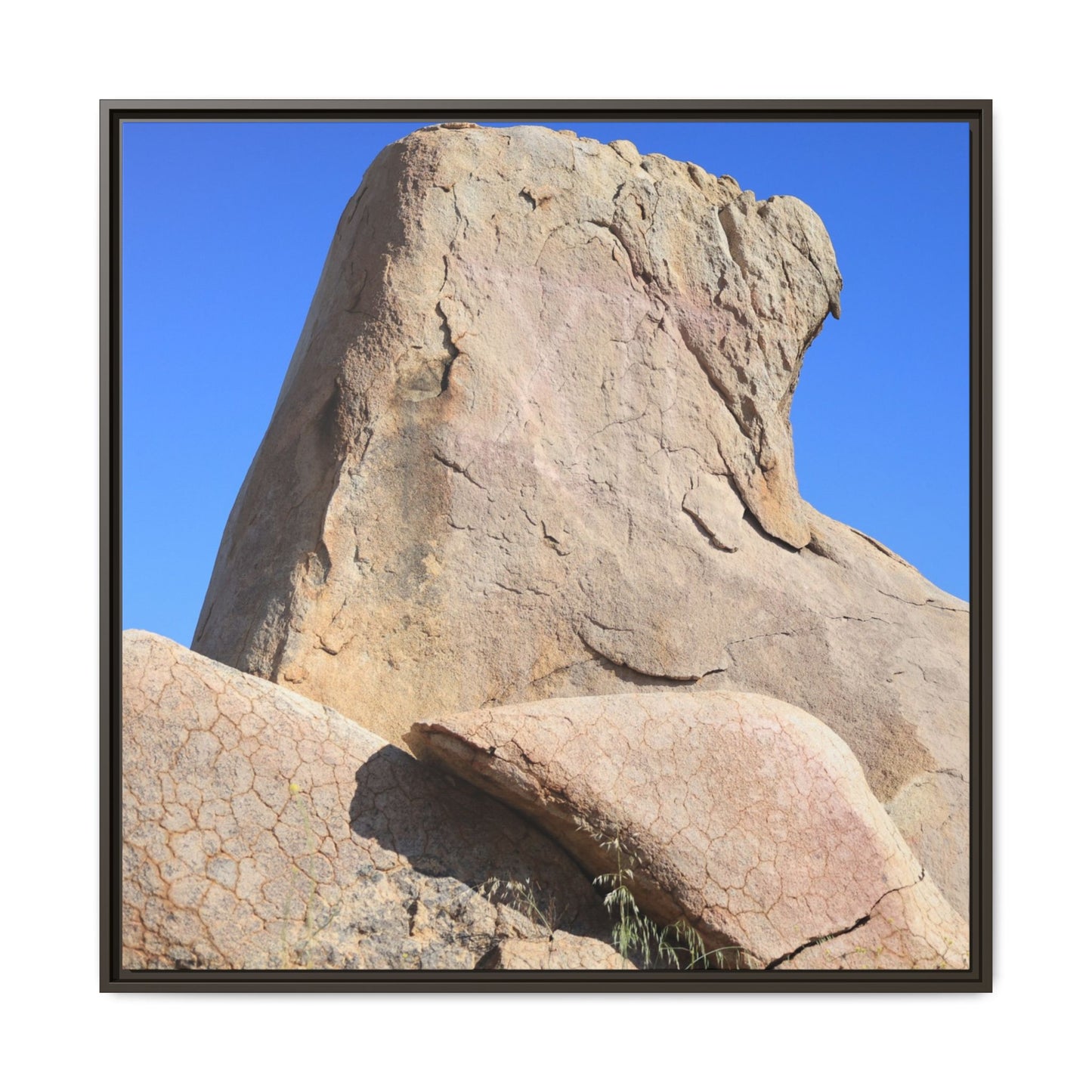 Rocky Sentinel - Unique Stretched Canvas Wall Art - Art By Earth