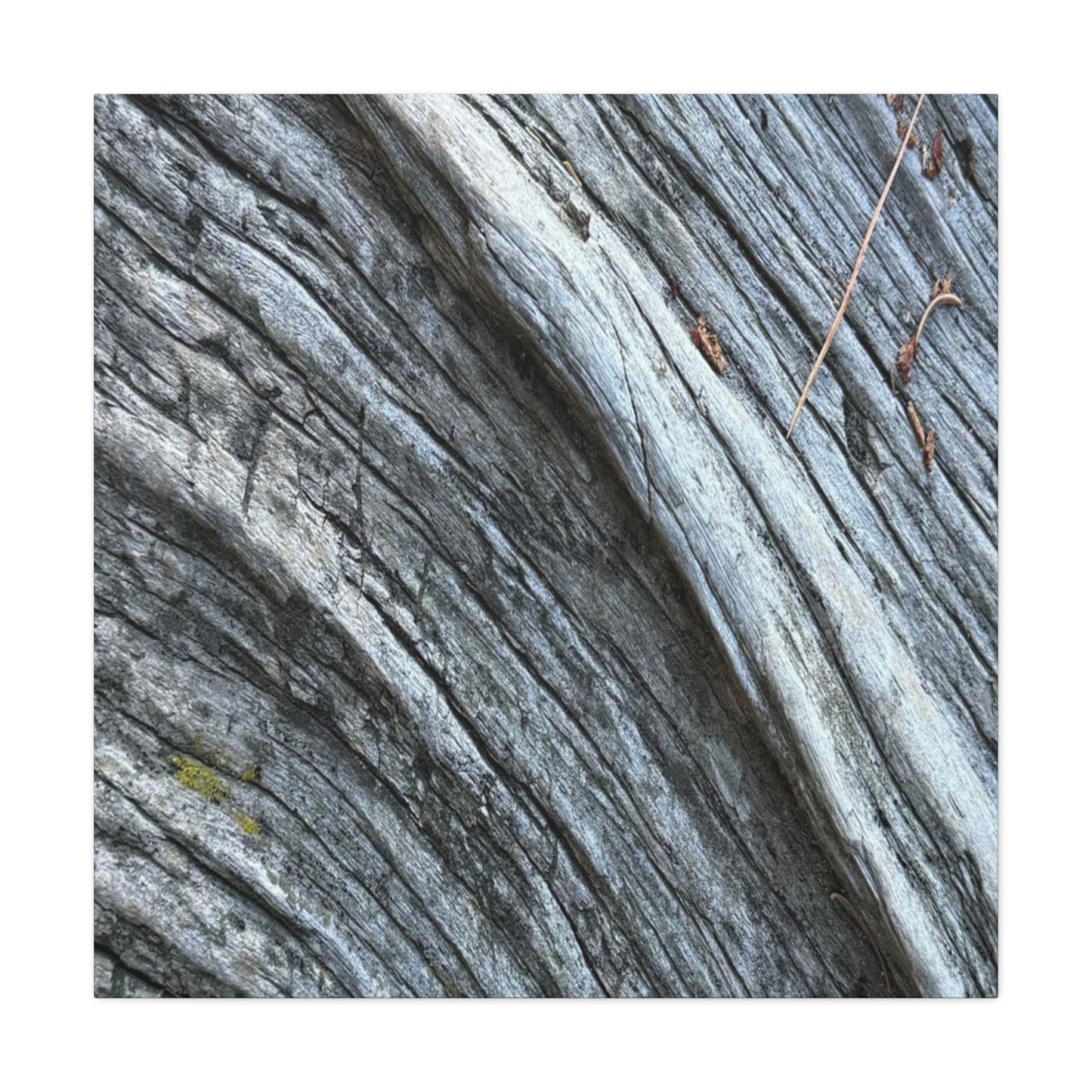 Aged Surface - Unique Frameless Canvas Wall Art - Art By Earth