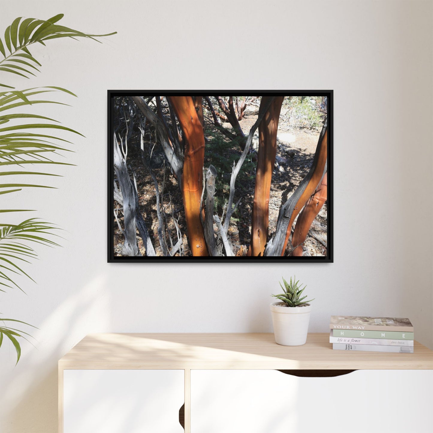 Eucalyptus Grove - Unique Stretched Canvas Wall Art