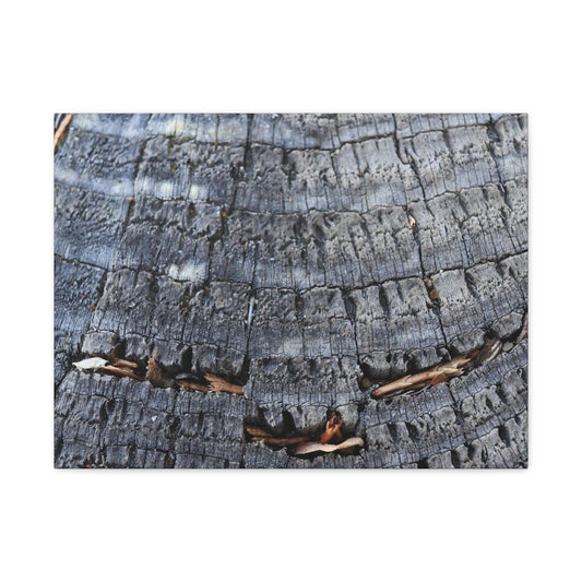 Time's Fractal Whispers - Unique Frameless Canvas Wall Art - Art By Earth