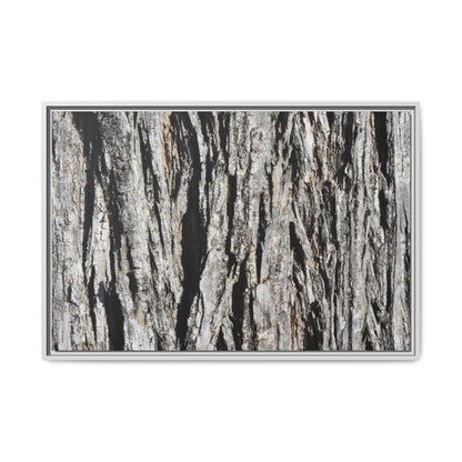 Bark Lines - Unique Stretched Canvas Wall Art - Art By Earth