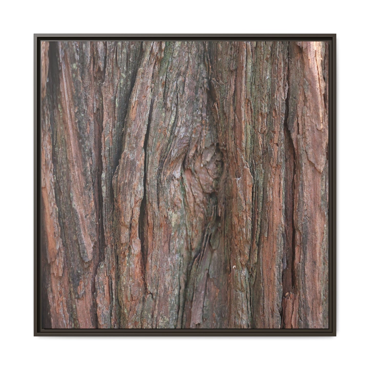 Rugged Textures - Unique Stretched Canvas Wall Art - Art By Earth