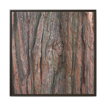 Rugged Textures - Unique Stretched Canvas Wall Art - Art By Earth