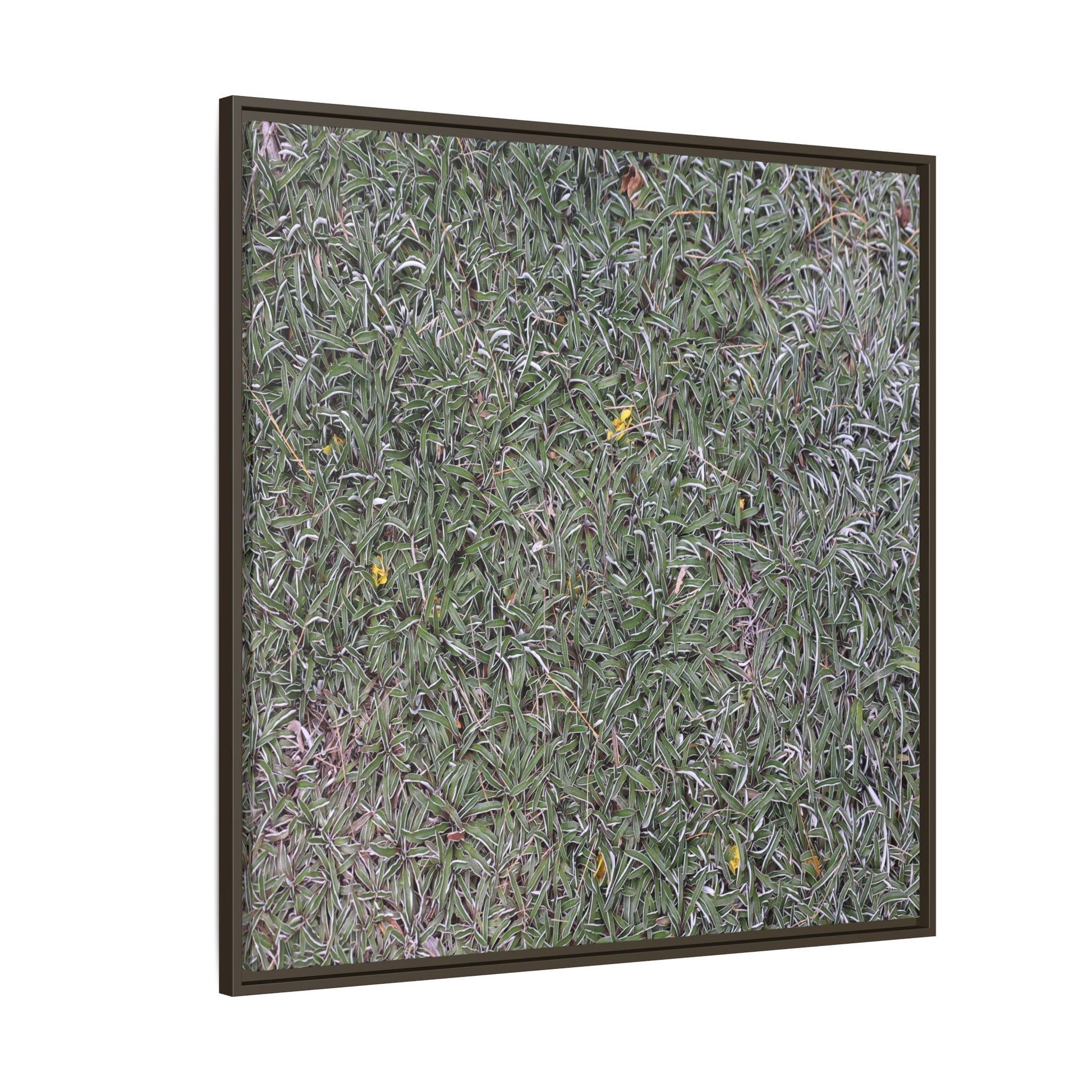 Grassy Texture - Unique Stretched Canvas Wall Art - Art By Earth