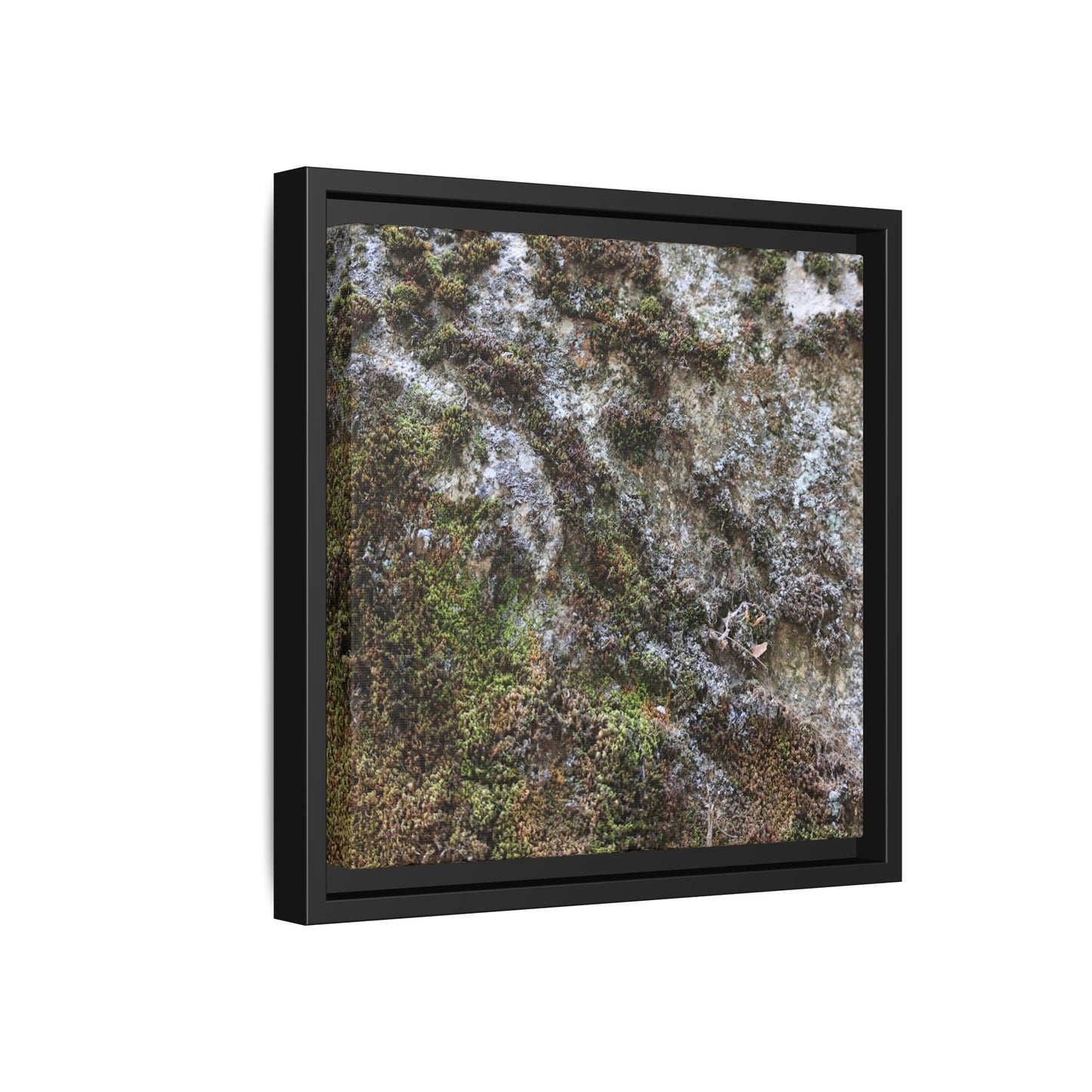 Mossy Whispers - Unique Stretched Canvas Wall Art - Art By Earth