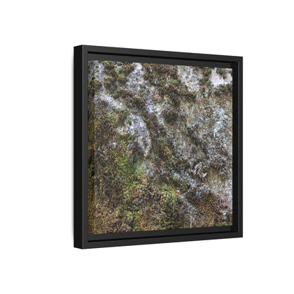 Mossy Whispers - Unique Stretched Canvas Wall Art - Art By Earth