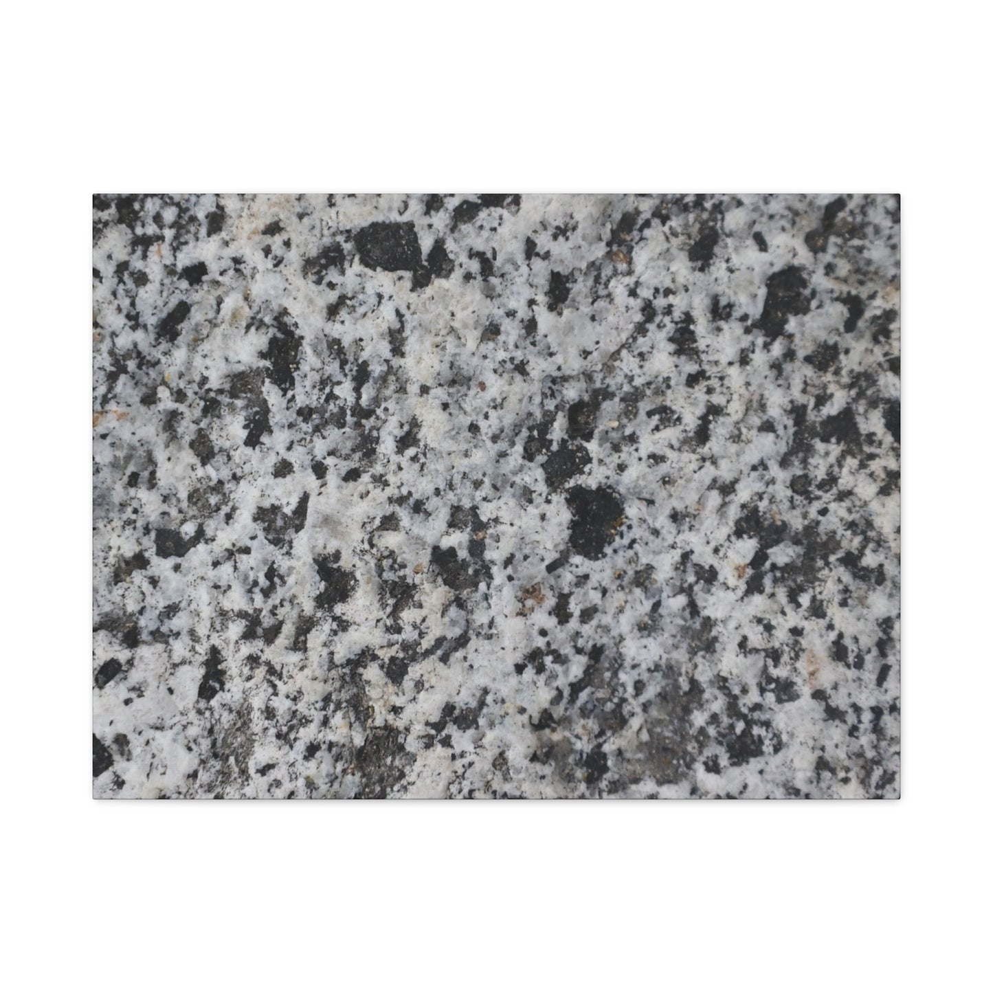 Grainy Whispers - Unique Frameless Canvas Wall Art - Art By Earth