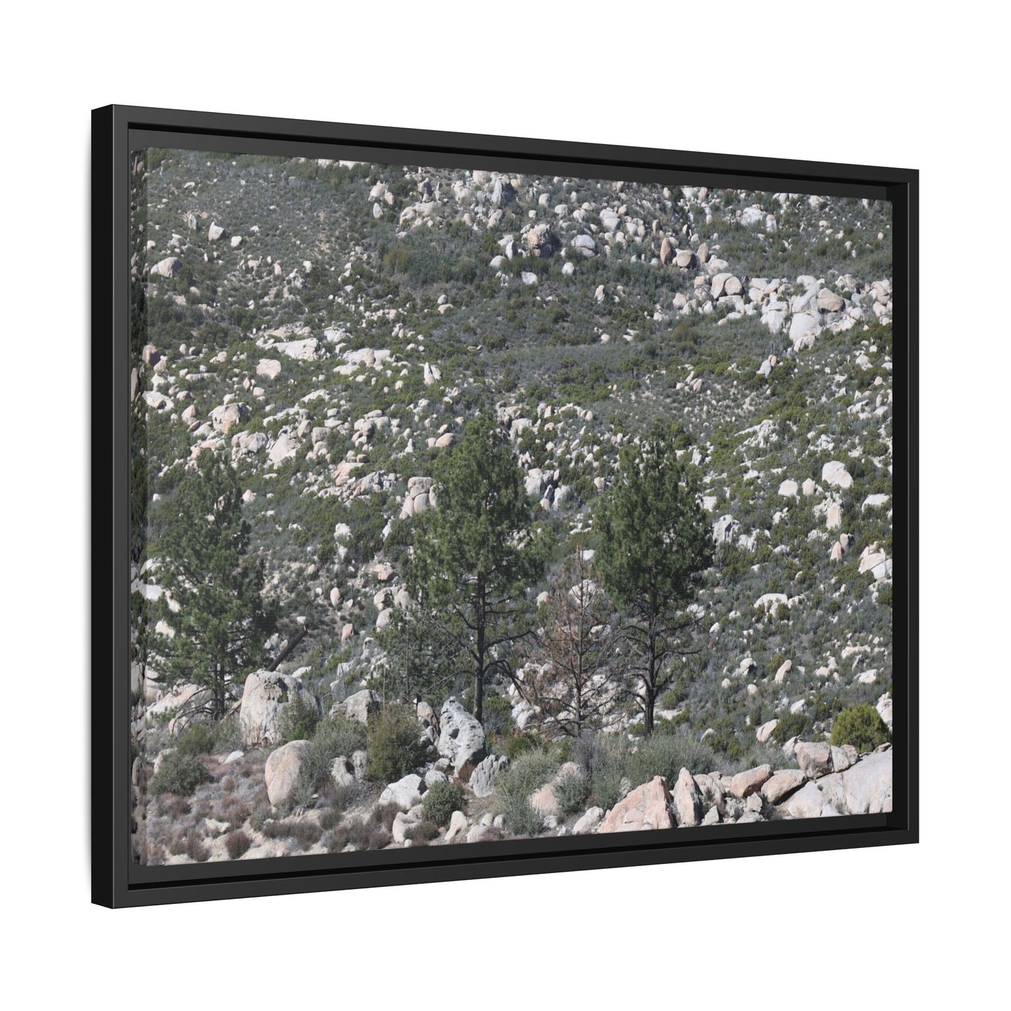 Rocky Hillside with Pine Trees - Unique Stretched Canvas Wall Art - Art By Earth