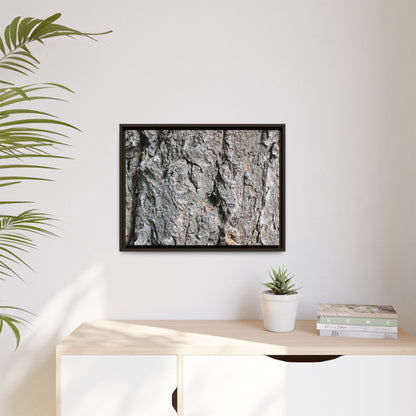 Crusty Exterior - Unique Stretched Canvas Wall Art - Art By Earth