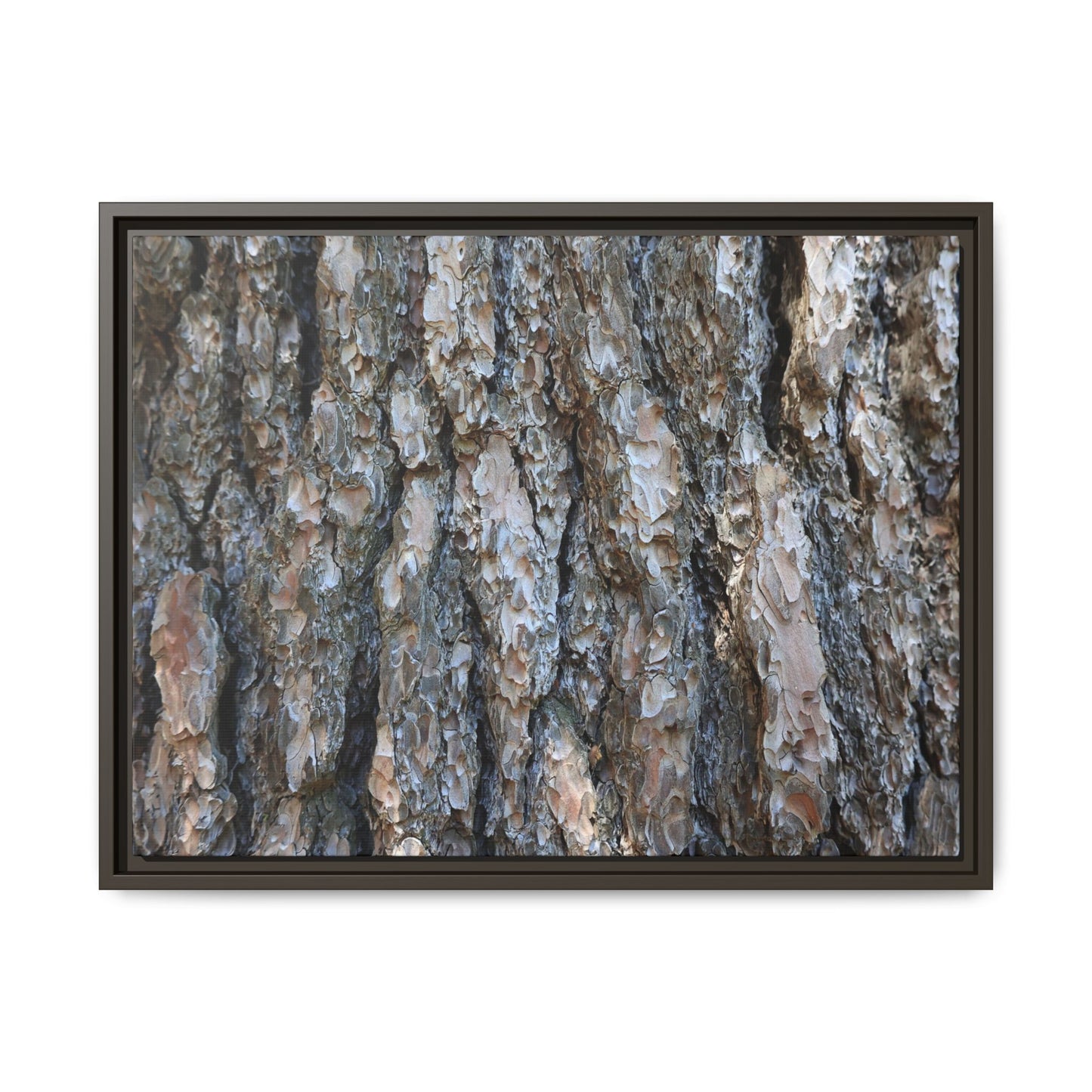 Bark Whispers - Unique Stretched Canvas Wall Art - Art By Earth