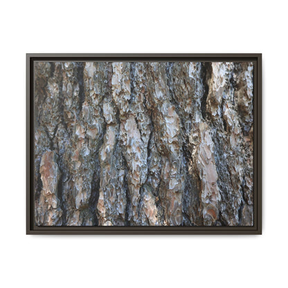 Bark Whispers - Unique Stretched Canvas Wall Art - Art By Earth