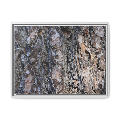 Weathered Patterns - Unique Stretched Canvas Wall Art - Art By Earth