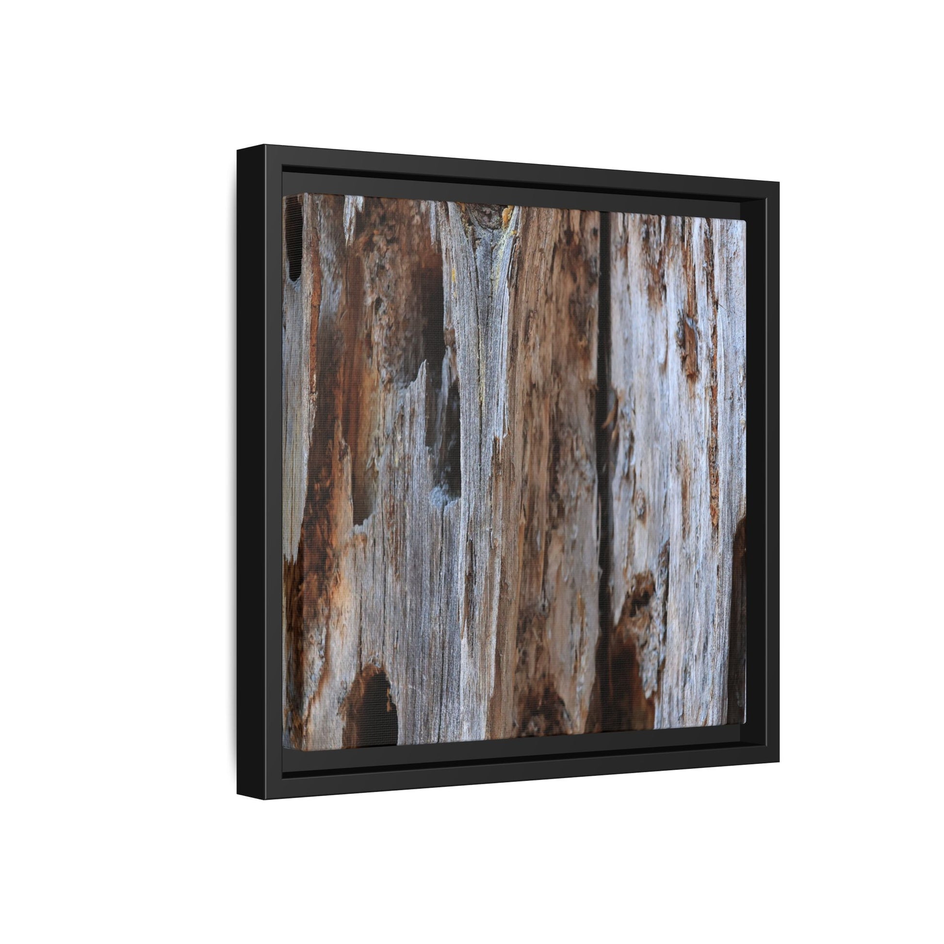 Decaying Splendor - Unique Stretched Canvas Wall Art - Art By Earth