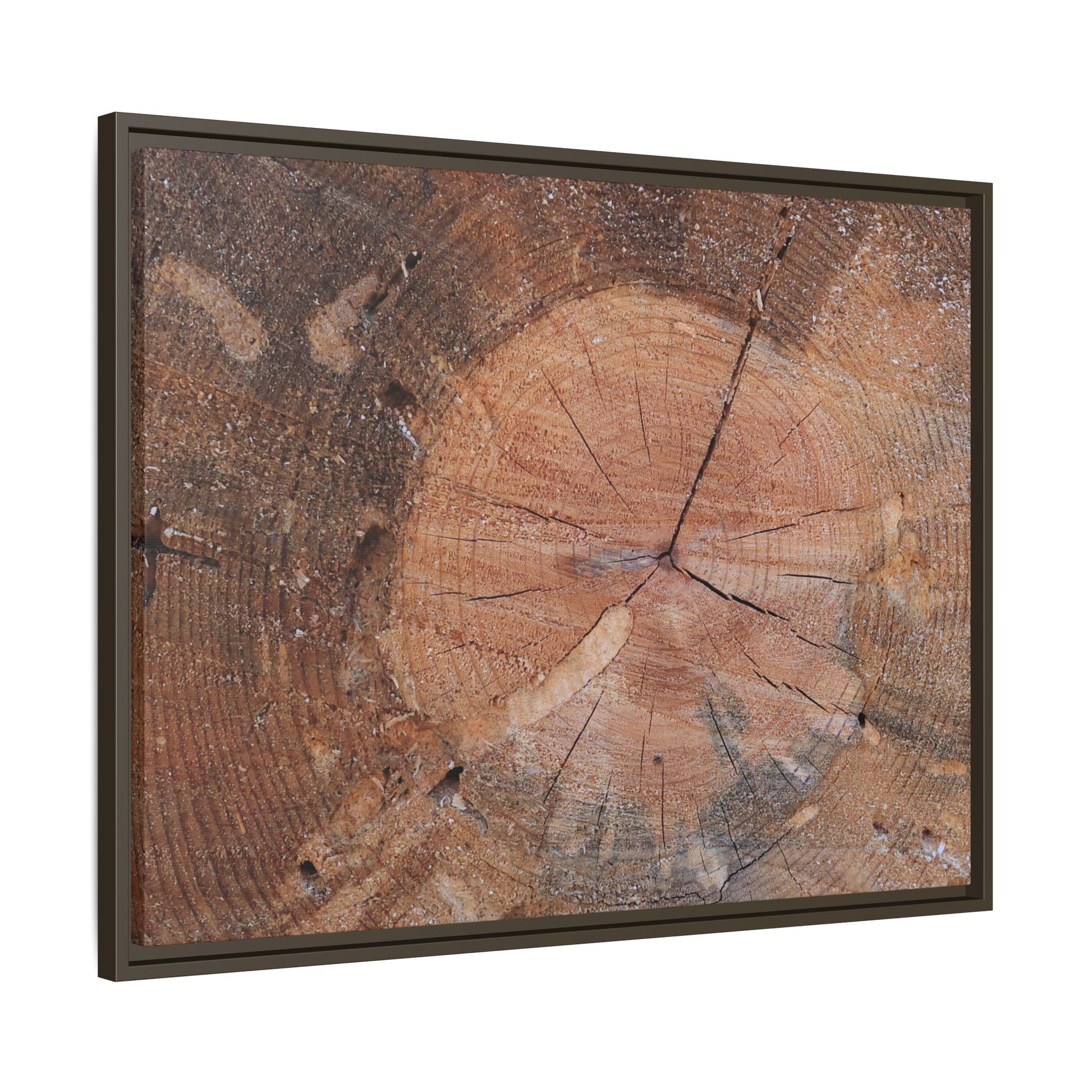 Concentric Memories - Unique Stretched Canvas Wall Art - Art By Earth