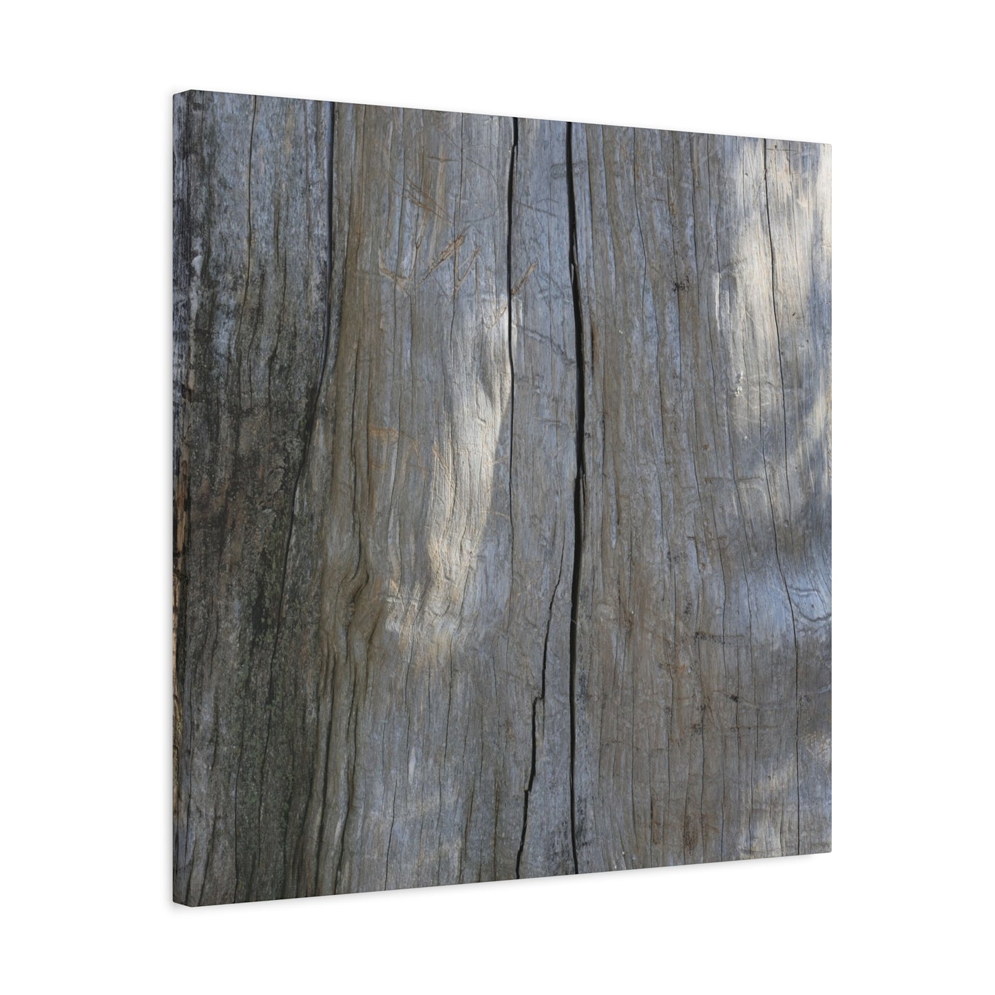Split Log - Unique Frameless Canvas Wall Art