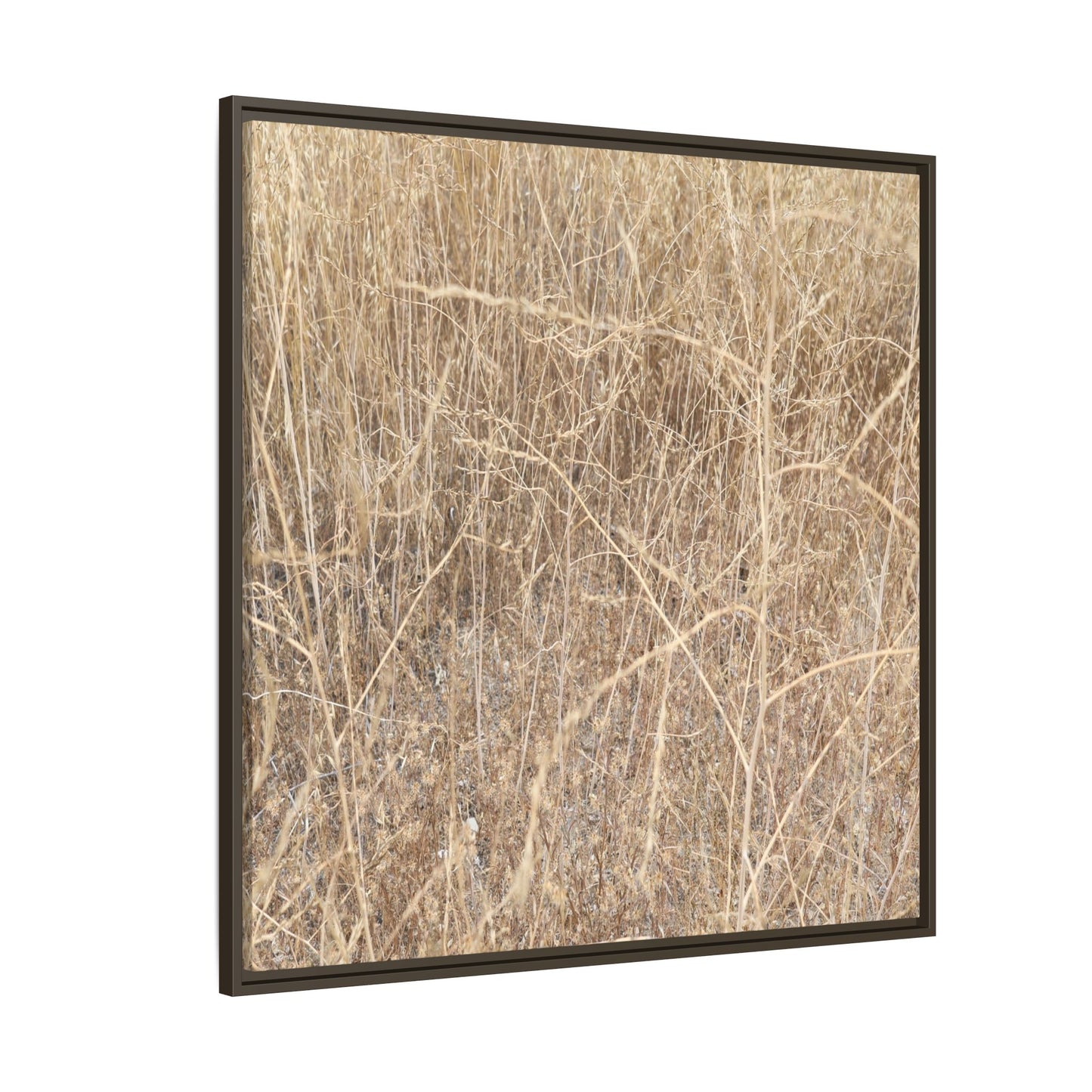 Golden Stalks - Unique Stretched Canvas Wall Art - Art By Earth