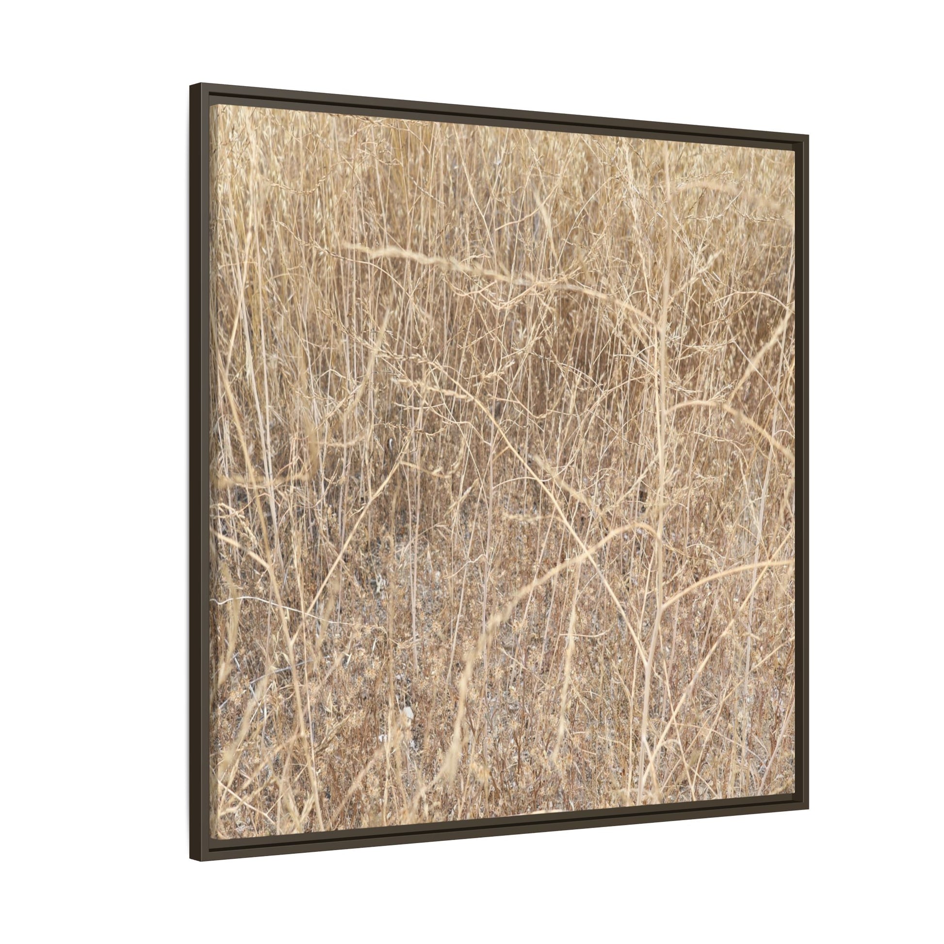Golden Stalks - Unique Stretched Canvas Wall Art - Art By Earth