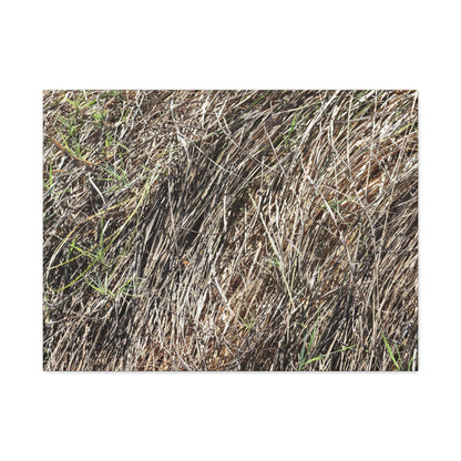 Tangled Wilderness - Unique Stretched Canvas Wall Art - Art By Earth