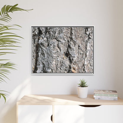 Crusty Exterior - Unique Stretched Canvas Wall Art - Art By Earth