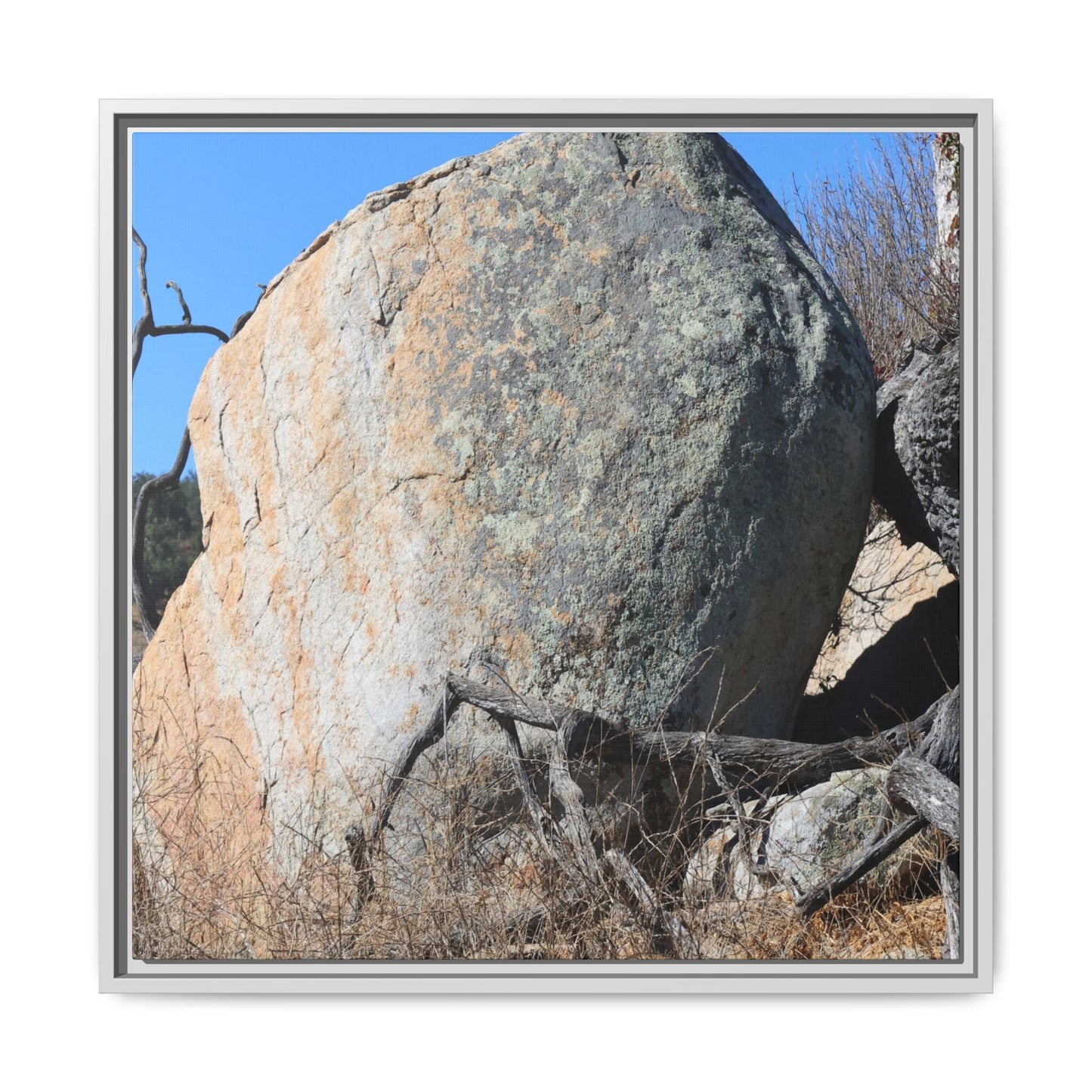 Stony Sentinel - Unique Stretched Canvas Wall Art - Art By Earth