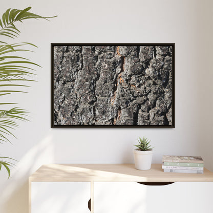 Aged Beauty - Unique Stretched Canvas Wall Art - Art By Earth