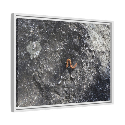 Volcanic Ash and Copper - Unique Stretched Canvas Wall Art - Art By Earth