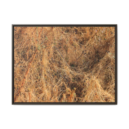 Dried Vegetation Study - Unique Stretched Canvas Wall Art - Art By Earth