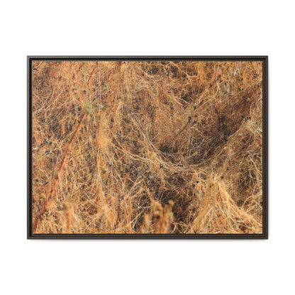 Dried Vegetation Study - Unique Stretched Canvas Wall Art - Art By Earth