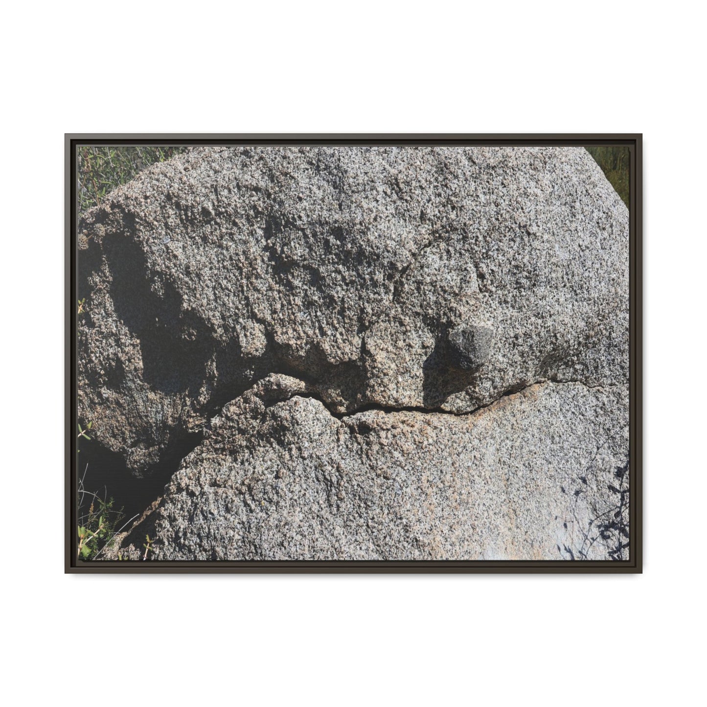 Stone Skull in Desert - Unique Stretched Canvas Wall Art