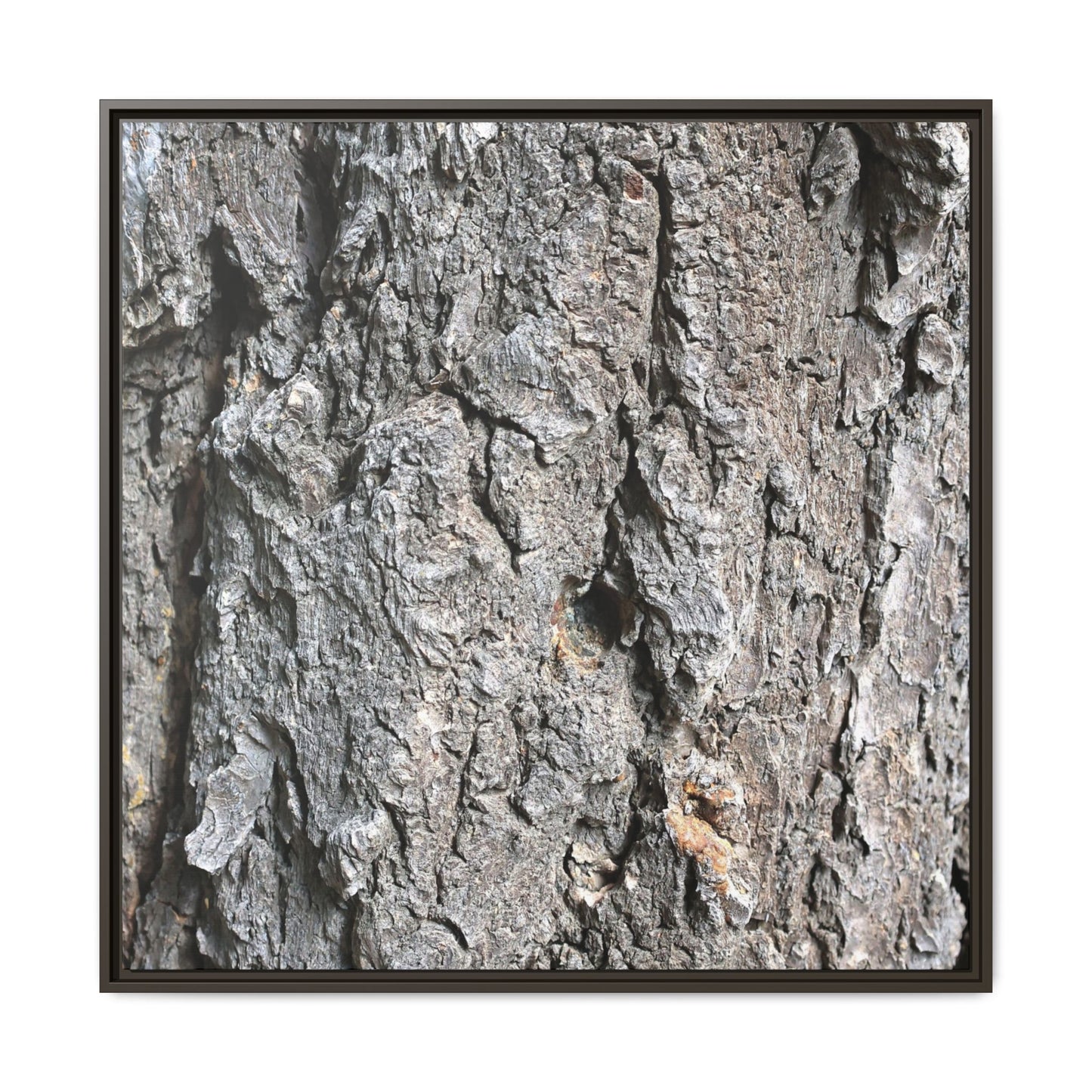 Crusty Exterior - Unique Stretched Canvas Wall Art - Art By Earth