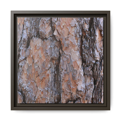 Tree Skin Symphony - Unique Stretched Canvas Wall Art - Art By Earth