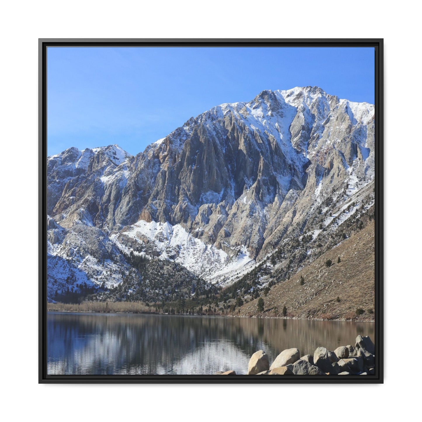 Frozen Reflection - Unique Stretched Canvas Wall Art