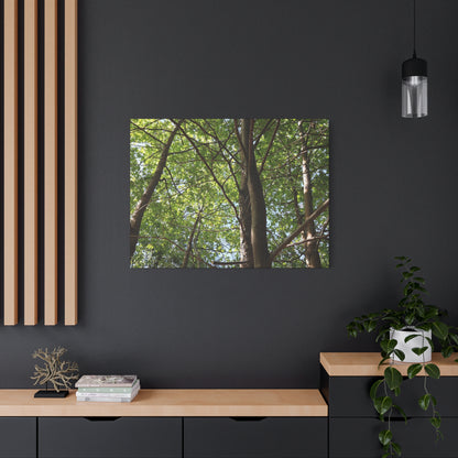 Canopy of Light - Unique Frameless Canvas Wall Art