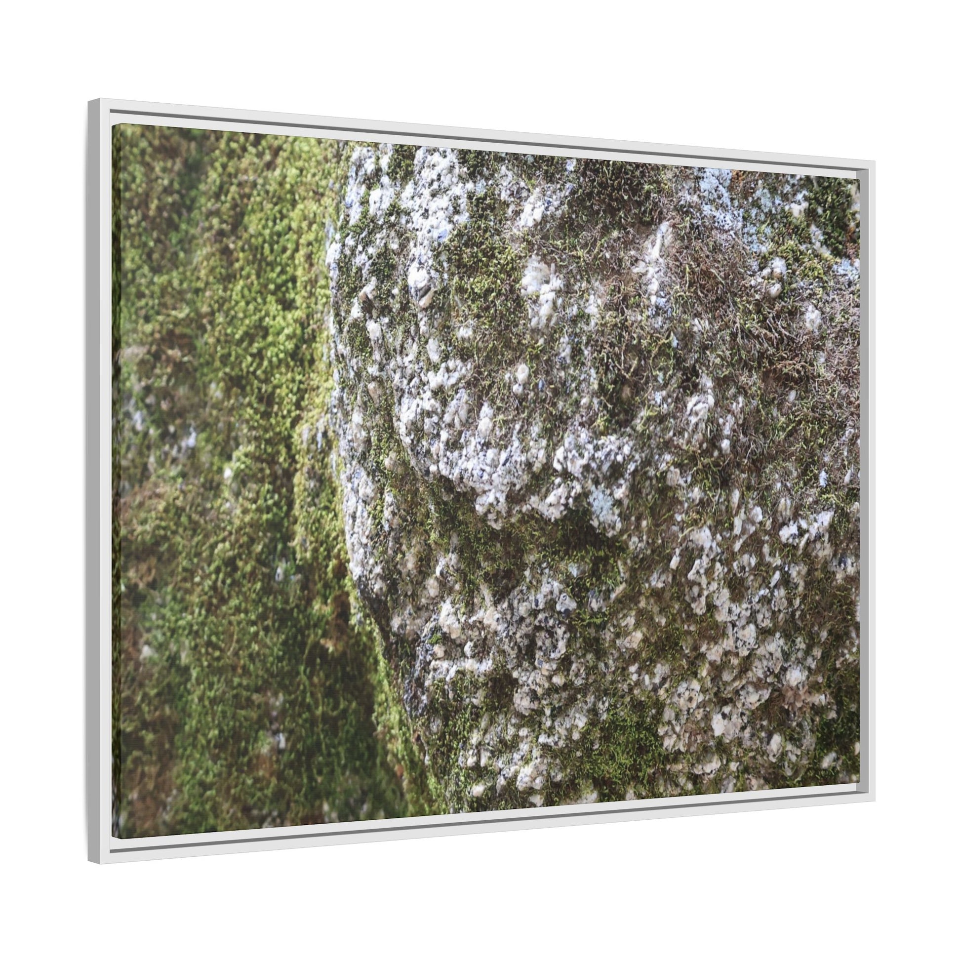 Lichen Landscape - Unique Stretched Canvas Wall Art - Art By Earth
