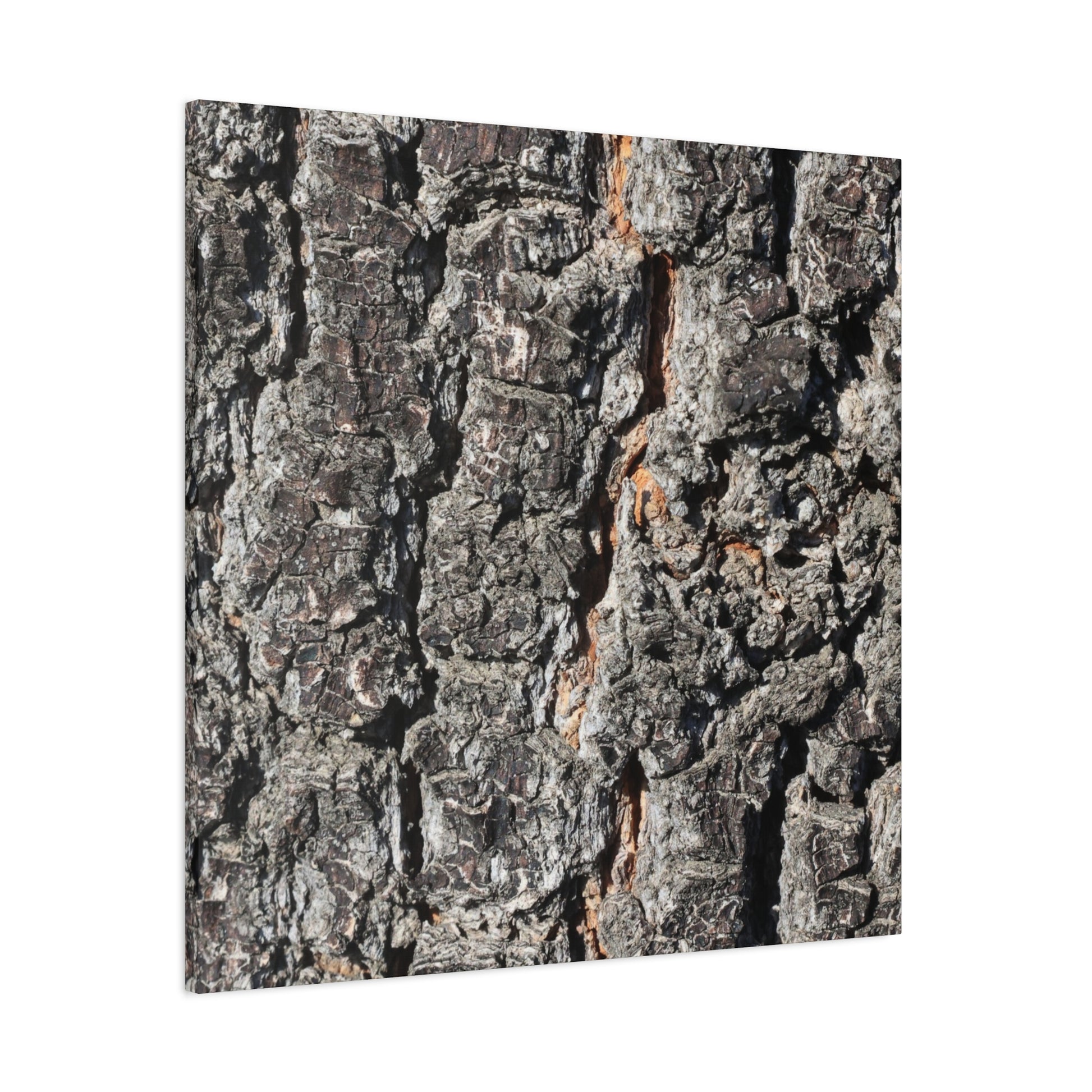 Arboreal Skin - Unique Frameless Canvas Wall Art - Art By Earth