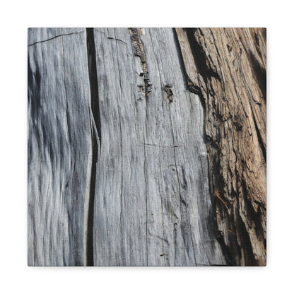 Fracture Lines - Unique Frameless Canvas Wall Art - Art By Earth