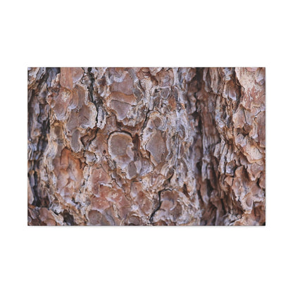 Rugged Bark Landscape - Unique Frameless Canvas Wall Art - Art By Earth