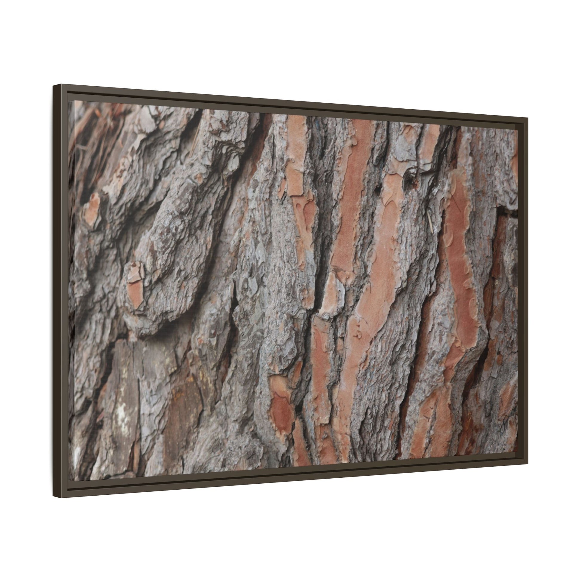 Woodland Layers - Unique Stretched Canvas Wall Art - Art By Earth