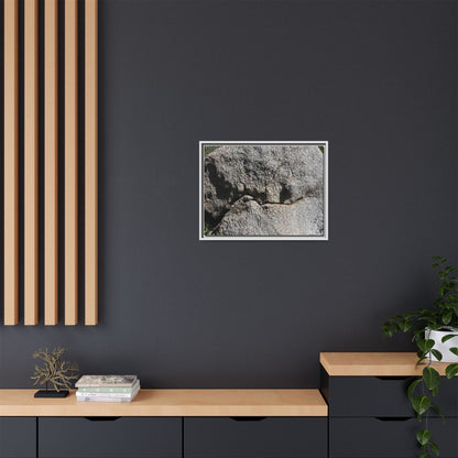 Stone Skull in Desert - Unique Stretched Canvas Wall Art