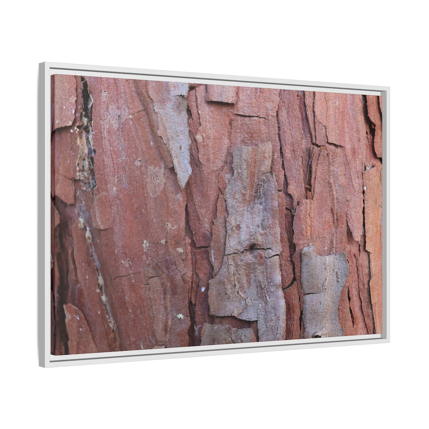 Peeling Bark - Unique Stretched Canvas Wall Art - Art By Earth