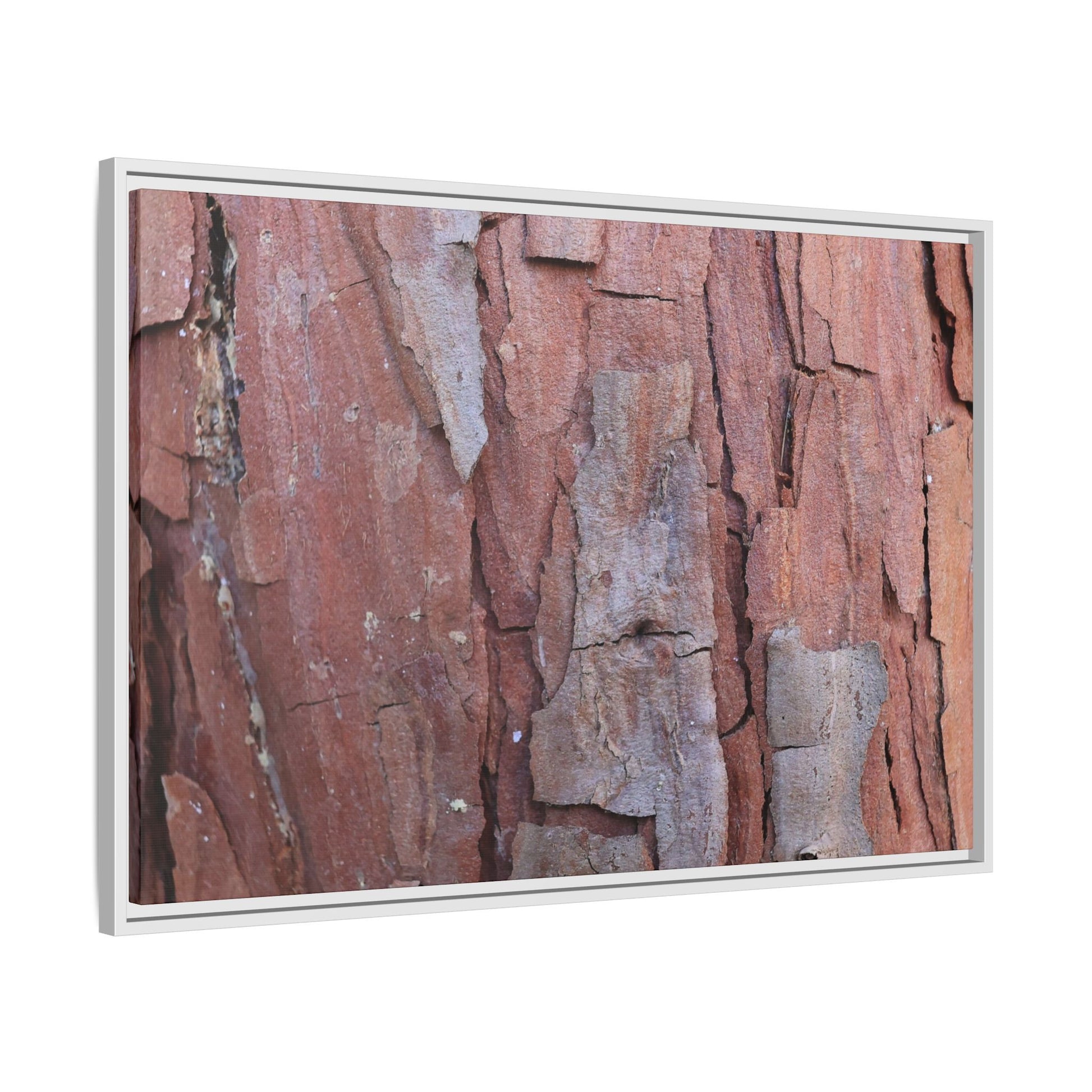 Peeling Bark - Unique Stretched Canvas Wall Art - Art By Earth