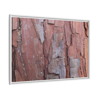 Peeling Bark - Unique Stretched Canvas Wall Art - Art By Earth
