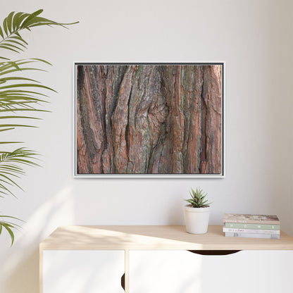 Rugged Textures - Unique Stretched Canvas Wall Art - Art By Earth