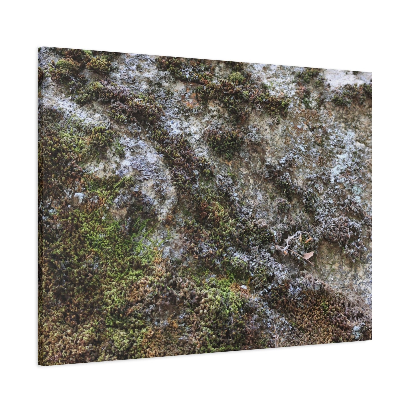 Moss Tapestry - Unique Frameless Canvas Wall Art - Art By Earth