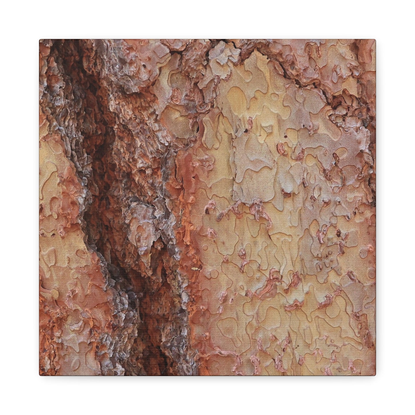 Arboreal Secrets - Unique Frameless Canvas Wall Art - Art By Earth